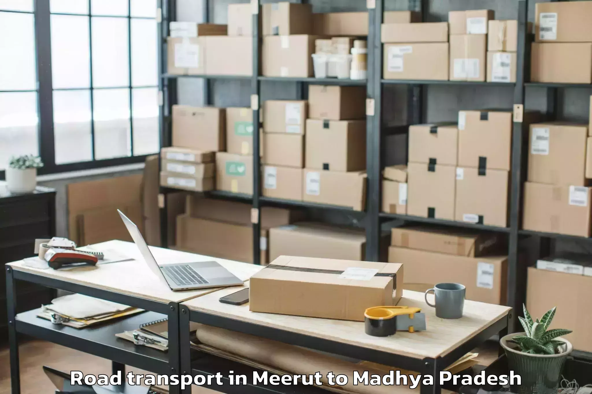 Book Meerut to Thikri Road Transport Online